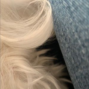 Meet your Posher, Terry